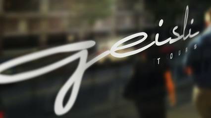 11_83_no-geisli_logo_display.jpg
